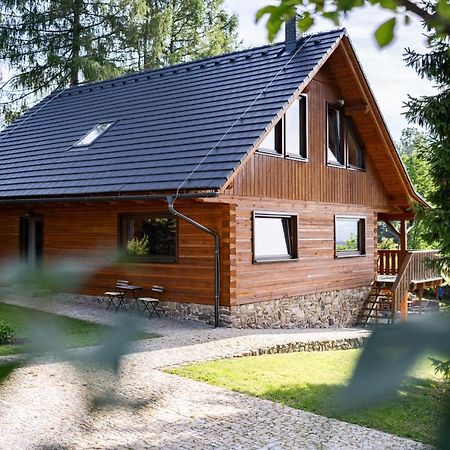 Вилла Moderni Sumavska Roubenka S Vyhledem Na Boubin Вимперк Экстерьер фото